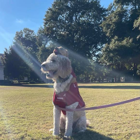 Meet your Posher, Sharon - Picture 8 of 8